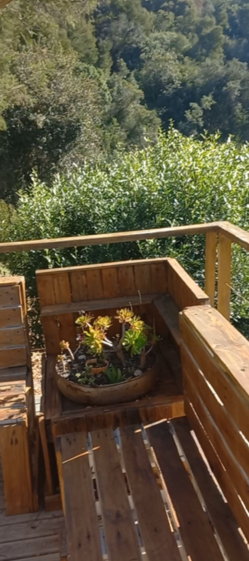 10 Bedroom Property for Sale in Hoekwil Western Cape